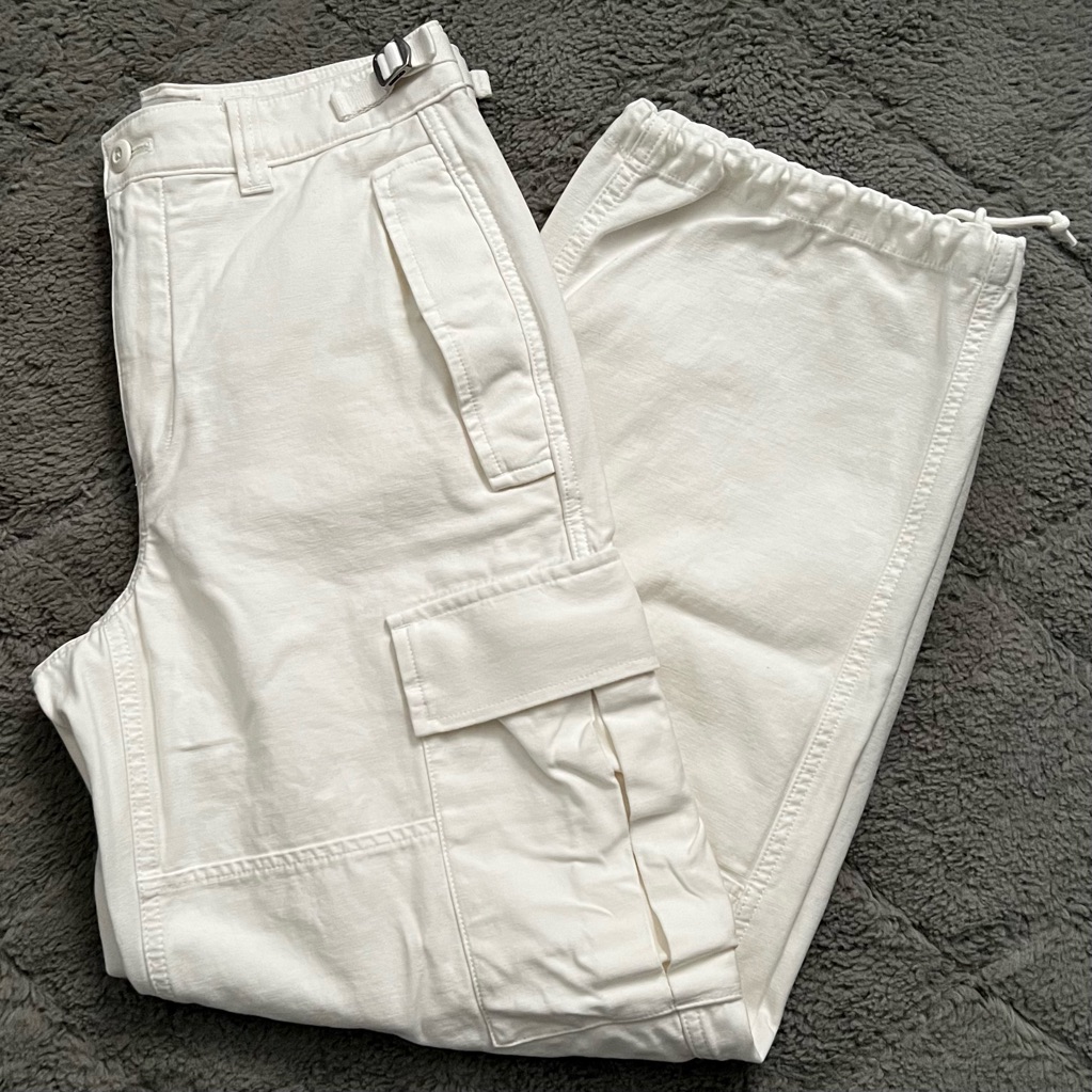 Aritzia Supply Cargo Pant